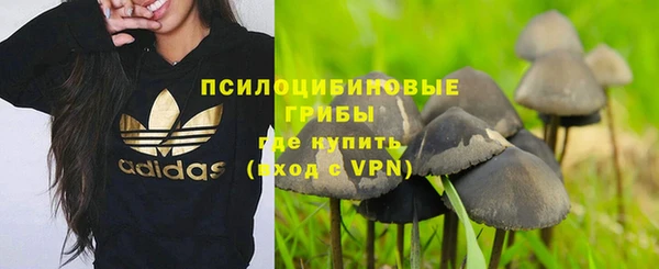 эйфоретик Дмитриев