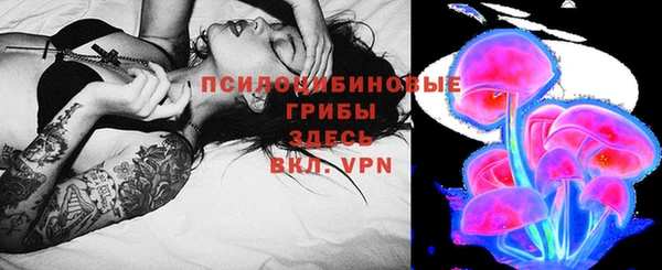 молекула духа Дмитров