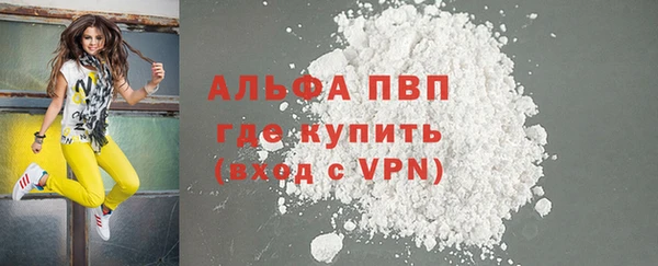 молекула духа Дмитров