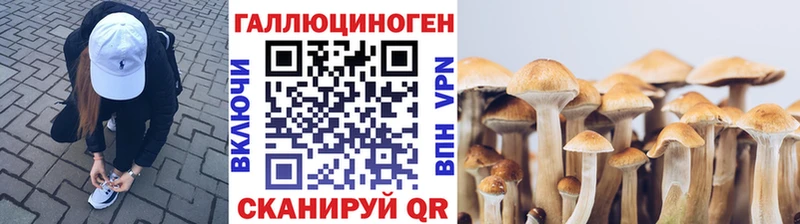 наркотики  Москва  Псилоцибиновые грибы Psilocybine cubensis 