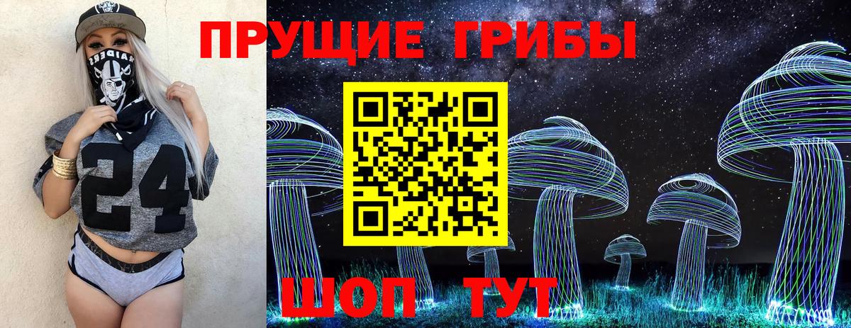 Псилоцибиновые грибы Cubensis  Псилоцибиновые грибы Psilocybe  Москва  Вход с VPN 